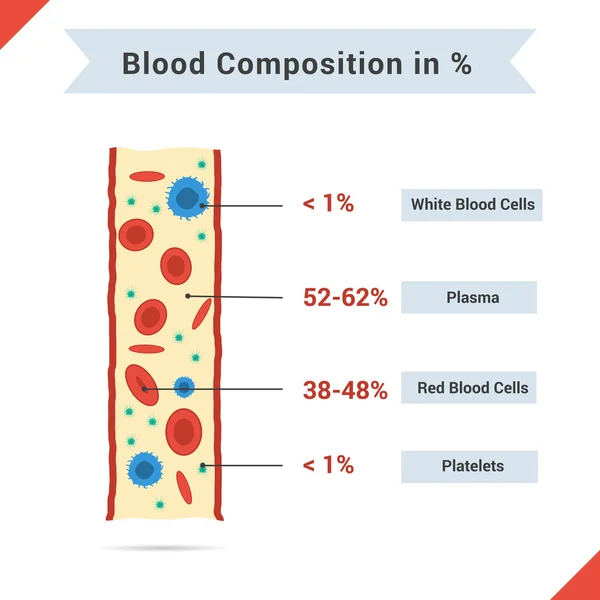 Composición de la sangre entera — Vector de stock