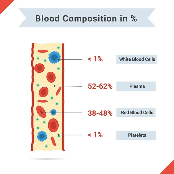 Composition du sang total — Image vectorielle