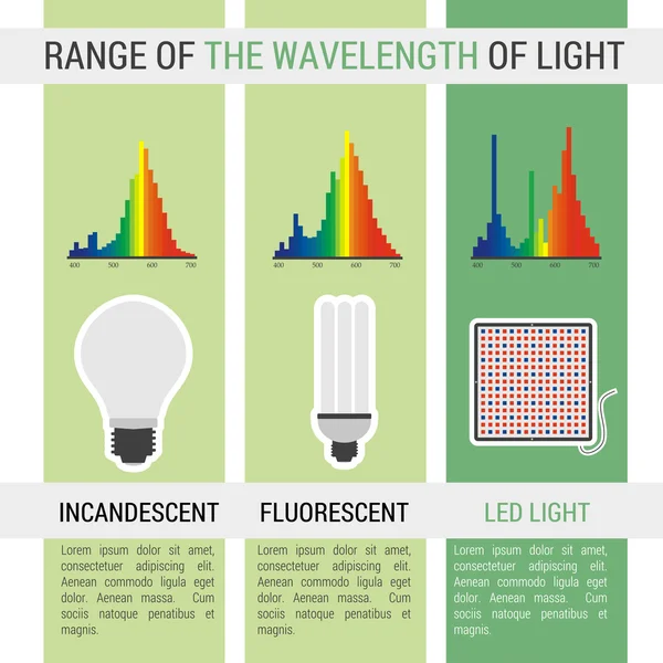 Infographic verschillende lampen met golflengte — Stockvector