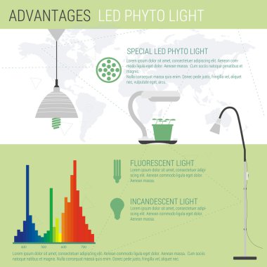 Infographic öğeleri Led lamba