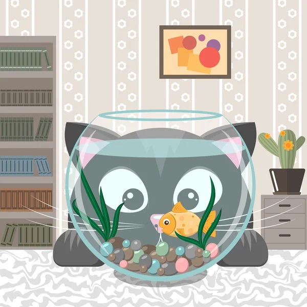 Kara kedi bir akvaryum balık bakıyor