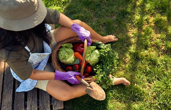 Vista Cima Belo Jardineiro Feminino Com Uma Cesta Com Legumes — Fotografia de Stock