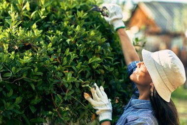 Güzel bir kadın bahçıvanın yan görünüşü bahçedeki budanmış çalıları keser. Çiftlikte bahçıvanlık yapan genç bir kadın..