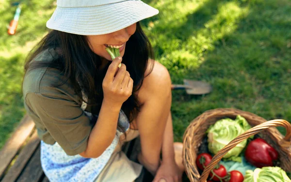 Belo Jardineiro Feminino Degustação Legumes Ecológicos Recém Colhidos Fazenda Uma — Fotografia de Stock