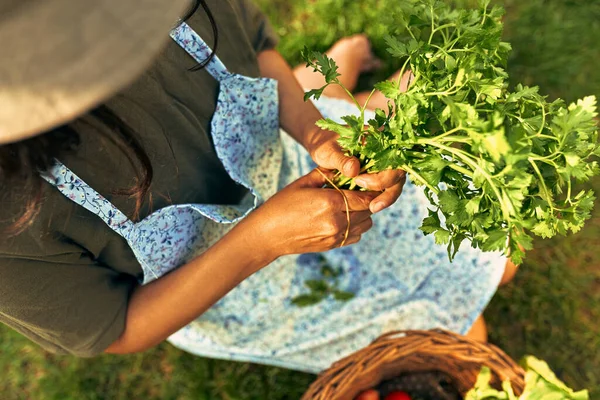 Vista Cima Belo Jardineiro Feminino Com Salsa Ecológica Recém Colhida — Fotografia de Stock