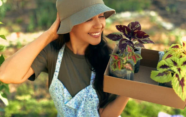 Gardener Fêmea Bonita Que Sorri Carrega Uma Caixa Com Flores — Fotografia de Stock