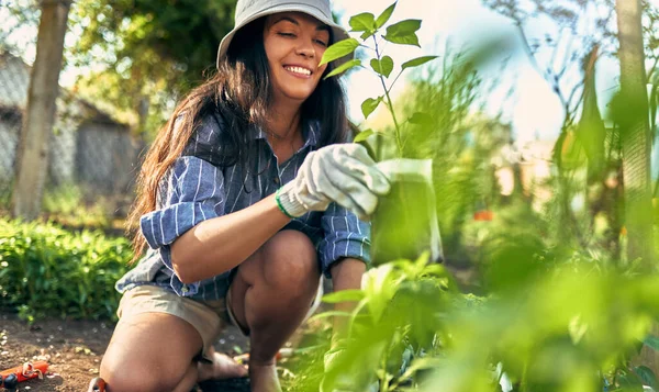 Proprietário Jardineiro Feminino Jardinagem Jardim Para Cultivo Novas Plantas Uma — Fotografia de Stock