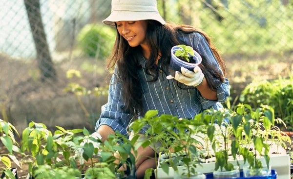Vista Horizontal Una Jardinera Femenina Jardín Para Cultivar Nuevas Plantas — Foto de Stock