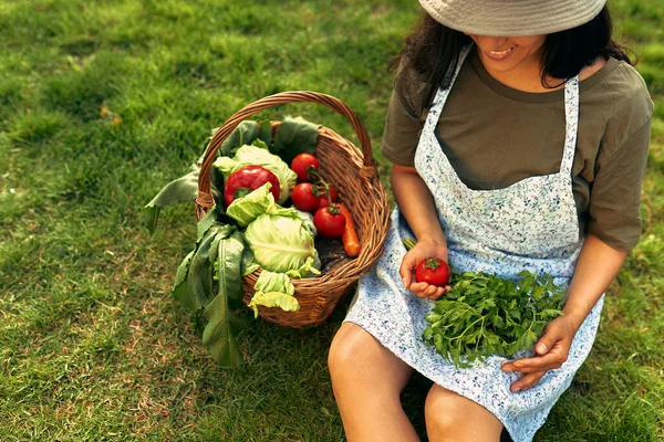 Proprietário Jardineiro Feminino Com Uma Cesta Com Legumes Ecológicos Recém — Fotografia de Stock
