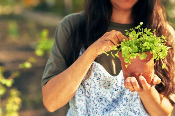 Fechar Belo Jardineiro Feminino Que Transporta Pote Com Nova Fábrica — Fotografia de Stock
