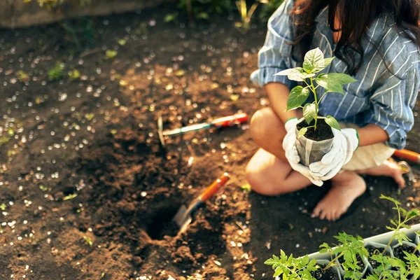 Imagem Close Horizontal Uma Mulher Jardineira Trabalhando Com Uma Espátula — Fotografia de Stock