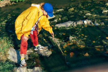 Sarı yağmurluklu, mavi şapkalı ve kırmızı pantolonlu, ormanda yürüyüş yapan genç bir kadının yatay görüntüsü. Dişi turist dağ yolu ve nehir boyunca yürüyor..