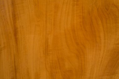 Closeup ahşap doku arka plan