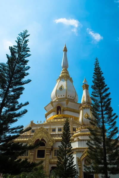 Phra maha chedi chai mongkol chrám — Stock fotografie