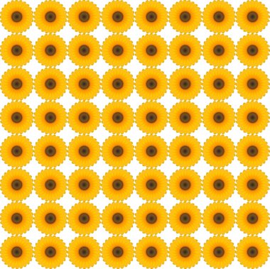 Güneş çiçek spin deseni