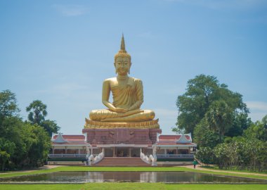büyük altın buddha heykeli