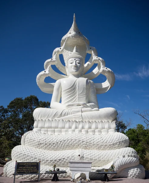 Statue de Bouddha blanc avec sept têtes Naga sur fond de ciel bleu — Photo