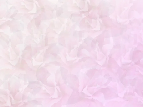 Lily Abstract com fundo rosa e branco — Fotografia de Stock