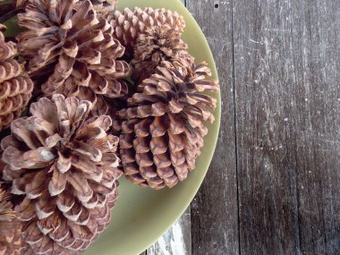 Plumiria çiçek arka plan 