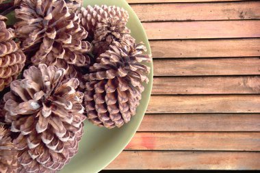 Plumiria çiçek arka plan 