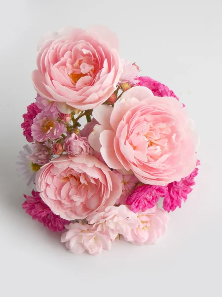 Hermoso rosa Inglés rosa fondo —  Fotos de Stock