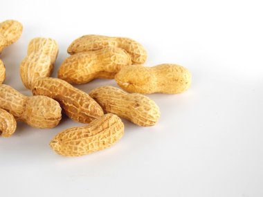 Zemin fındık beyaz arka plan üzerinde kurutulmuş