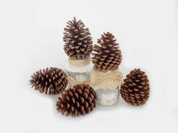 Cones de pinho marrom no fundo branco — Fotografia de Stock
