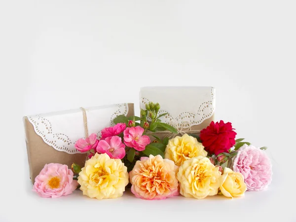 Подарункові коробки з троянди Англійська на білому тлі — стокове фото