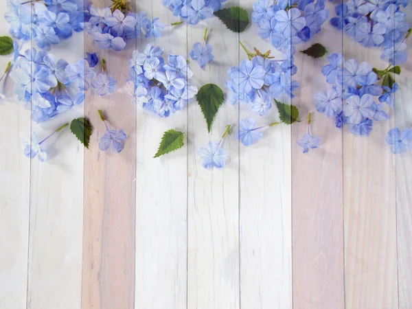 Piękny kwiat na podłoże drewniane wyglądać malarstwo — Zdjęcie stockowe