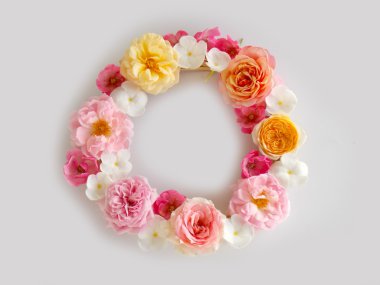 Güzel Türkçe beyaz zemin üzerine gül