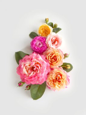 Güzel İngilizce gül 