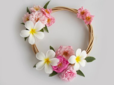 Beyaz arka plan üzerinde güzel tropikal frangipani çiçek