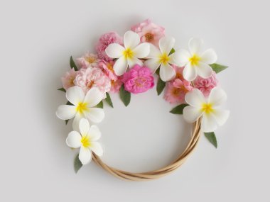 Beyaz arka plan üzerinde güzel tropikal frangipani çiçek