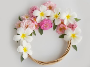 Beyaz arka plan üzerinde güzel tropikal frangipani çiçek