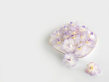 Beyaz arka plan üzerinde güzel mor orkide çiçek