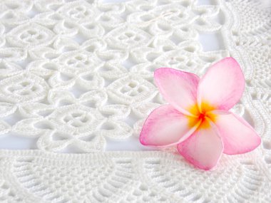 Beyaz arka plan üzerinde güzel pembe tropikal frangipani çiçek