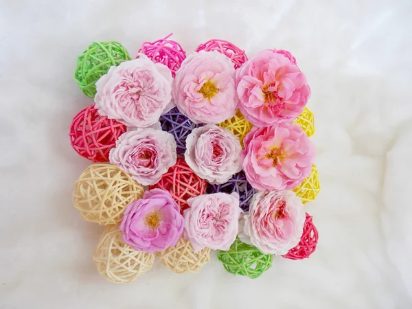 Güzel Türkçe beyaz zemin üzerine gül