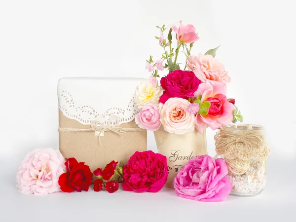 Beautiful English rose flower on white background — Stock Photo, Image