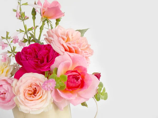 Hermosa flor de rosa inglesa sobre fondo blanco —  Fotos de Stock