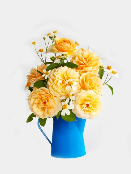 Gyönyörű angol rózsa virág fehér háttér — Stock Fotó