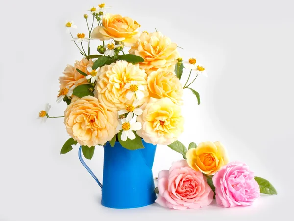 Krásná anglická růže květiny na bílém pozadí — Stock fotografie