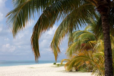 Adanın okyanusun beach göster