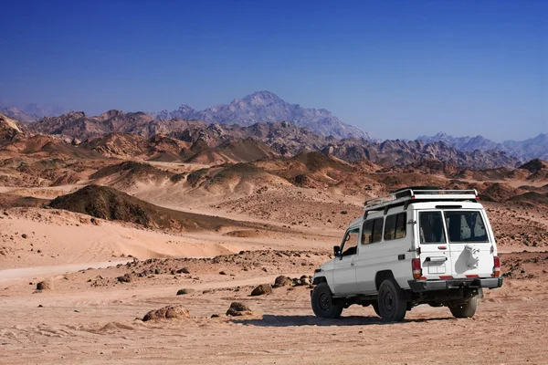 Safari nel deserto — Foto Stock