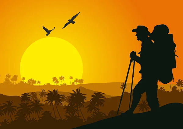 Coucher de soleil dans les montagnes tropicales avec silhouette du touriste . — Image vectorielle