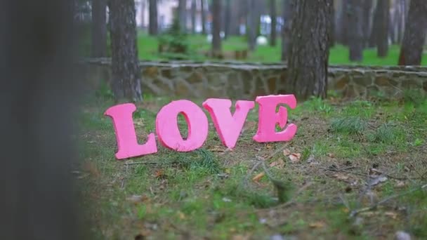 Красные буквы любви в парке — стоковое видео