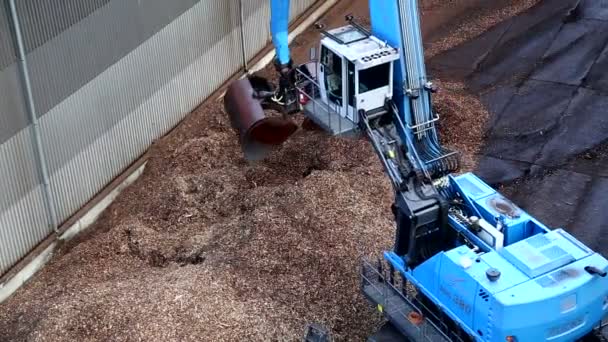 Schip laden van hout chips op poort van Liepaja mei 2016 — Stockvideo