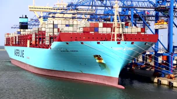 Munkebo Maersk in haven van gdans Polen mei 2016 — Stockvideo