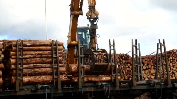 Daru betöltése fa traine a port El Ferrol Spanyolország 2016 márciusában — Stock videók