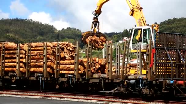 Kraan Traine laden met hout — Stockvideo