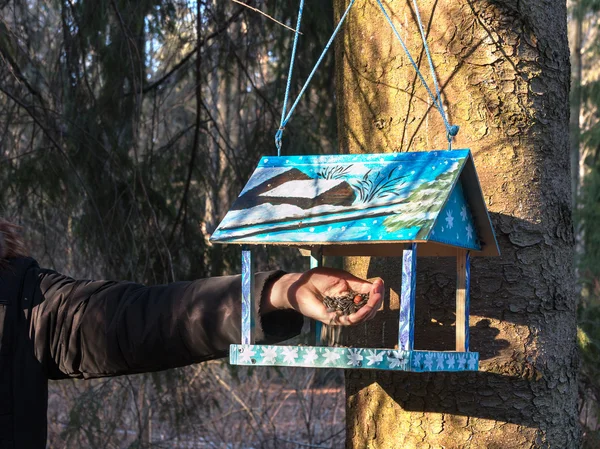 Bonito alimentador de madeira (caixa de nidificação) pendurado em uma árvore no parque. Cuidar dos animais. Um homem a alimentar os pássaros. A primavera está chegando . — Fotografia de Stock